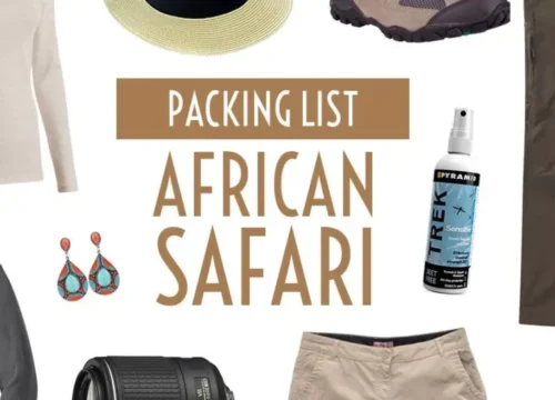 What to Pack for a Safari?